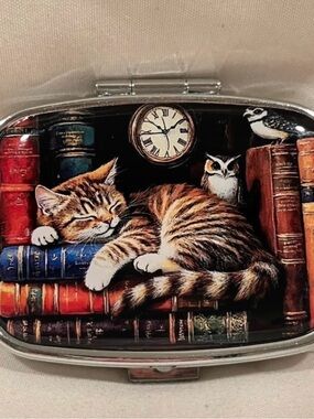Sleeping Cat on Books Pill Travel Pill Box 2 Compartment Medicine Pill Case NEW